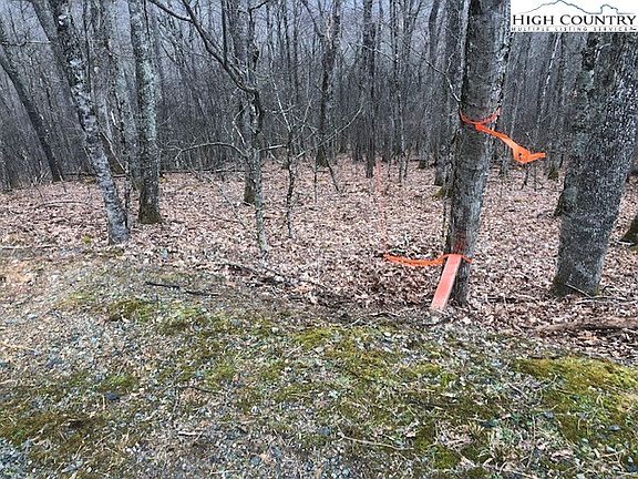 2nd image of TBD Saddle Road