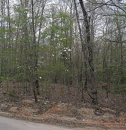 5th image of 94 Hictochee Dr