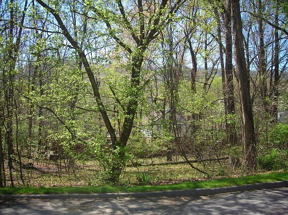 1st image of 157 Chippendale Sq