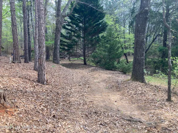 Driftwood Dr, Jacksons Gap, AL 36861