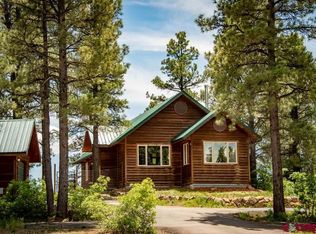 453 Pines Dr, Pagosa Springs, CO 81147