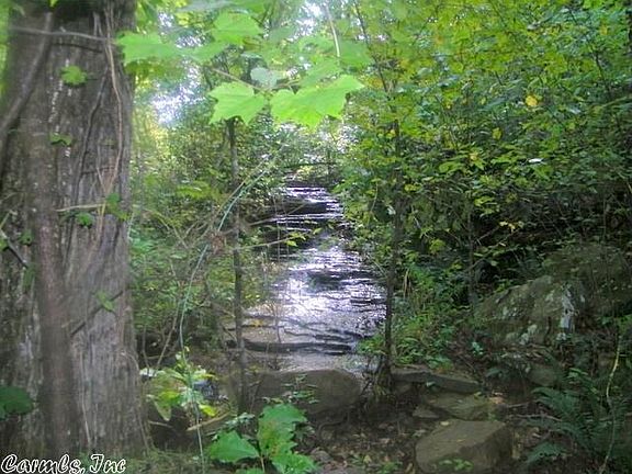 4th image of 7473 Meadow Creek