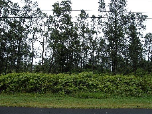 2nd image of Mahimahi St Lot 861
