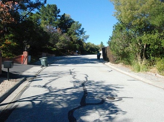 2nd image of 747 Jacaranda Cir