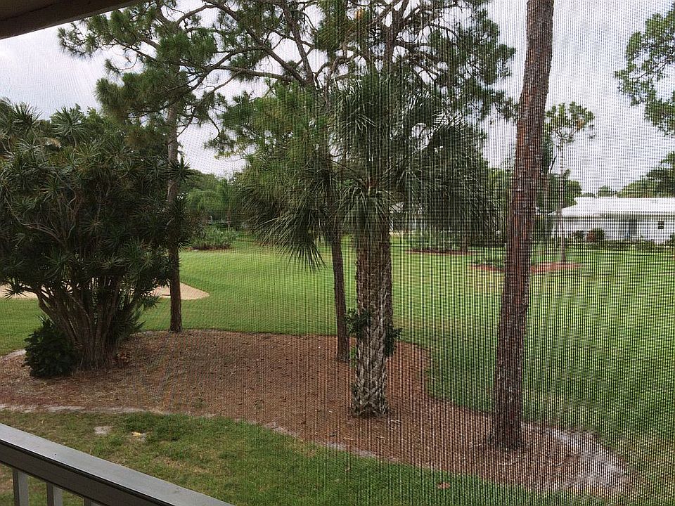 Back Yard  View