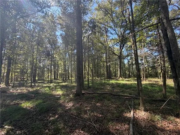 Tuger Ln, Hammond, LA 70401