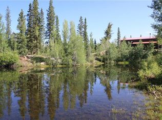 1992 Busch Run, Fairplay, CO 80440