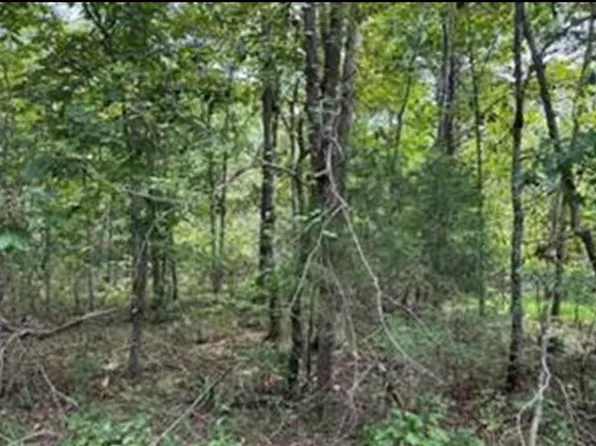 406 Wahoo Dr, Crossville, TN 38572