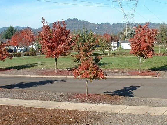 Community Entry Road