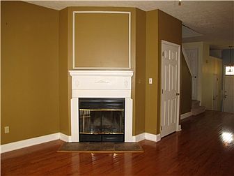 Woodburning Fireplace in Living Room