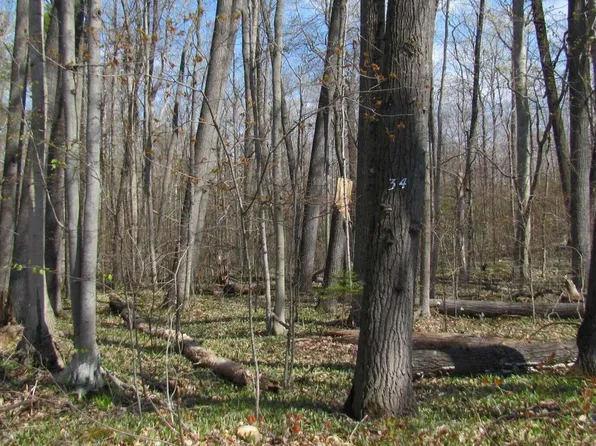 Trails End Rd, Mackinaw City, MI 49701
