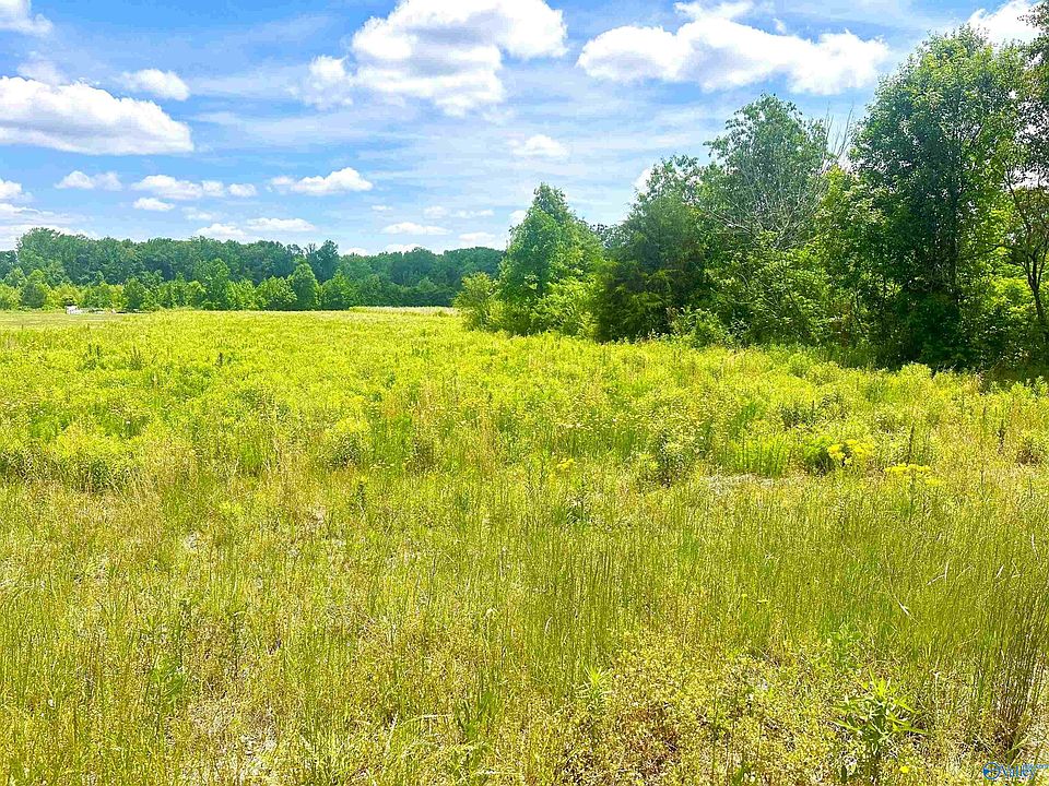 1st image of TRACT 5 Loggins Rd