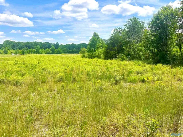 TRACT 5 Loggins Rd, Athens, AL 35614