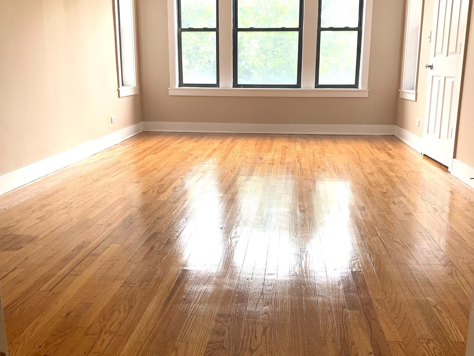 2 bed, 1100 sqft, $1,175 — Photo 4
