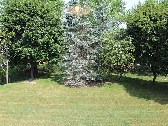 Backyard view