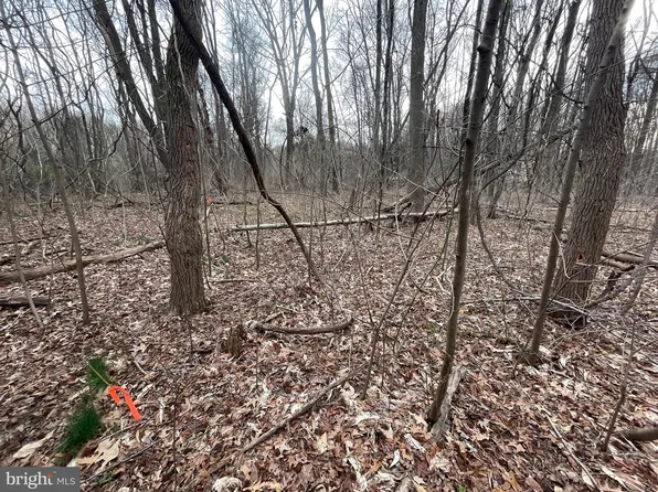 Georgetown Rd, Chestertown, MD 21620