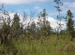 Aulii St LOT 48, Keaau, HI 96749