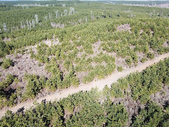 3rd image of 0 Off Hwy #517