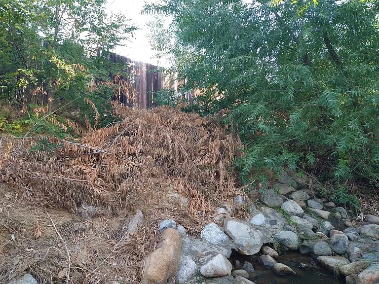 wash running along side of property