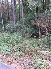 1st image of 0 Allyn Dr NW