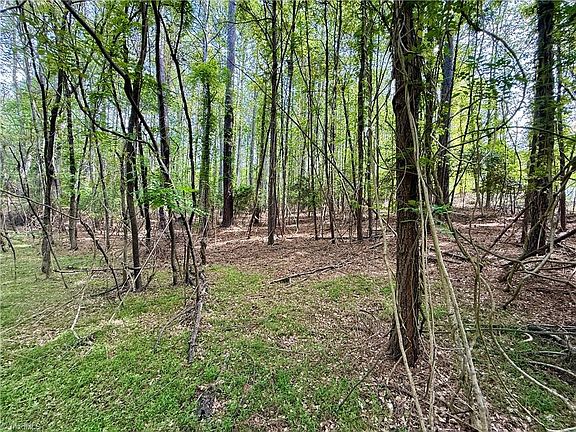 3rd image of 161 Greens Rd