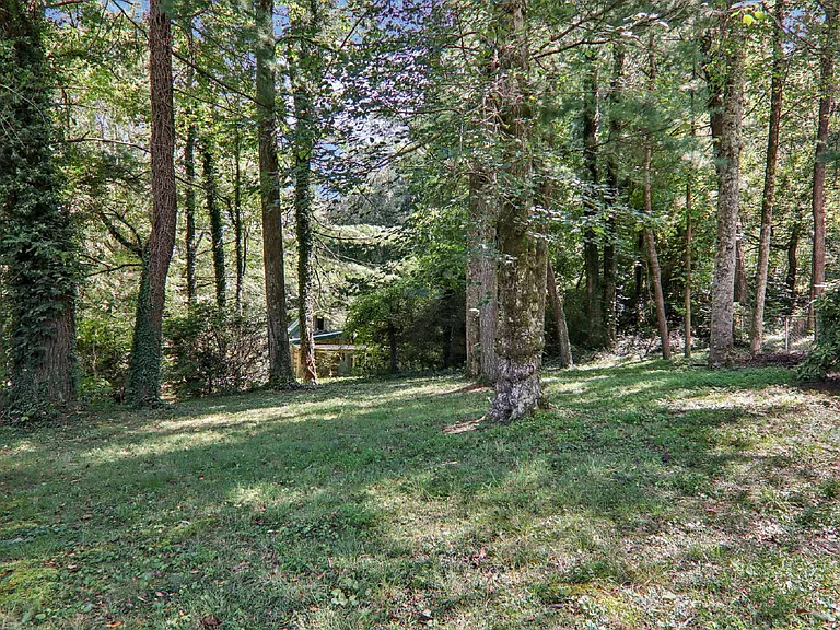 325 Comet Dr — Photo 38
