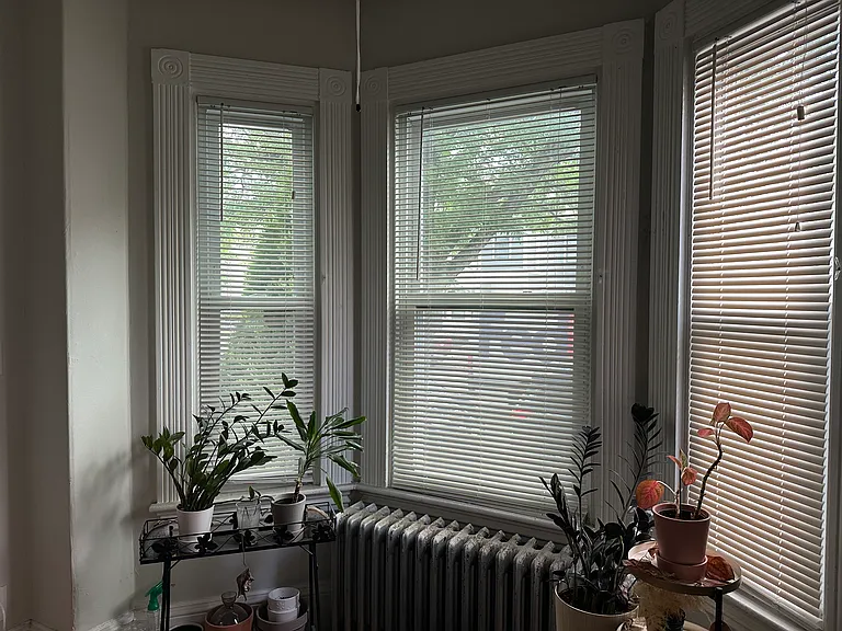 51 College Ave #1 — Photo 27