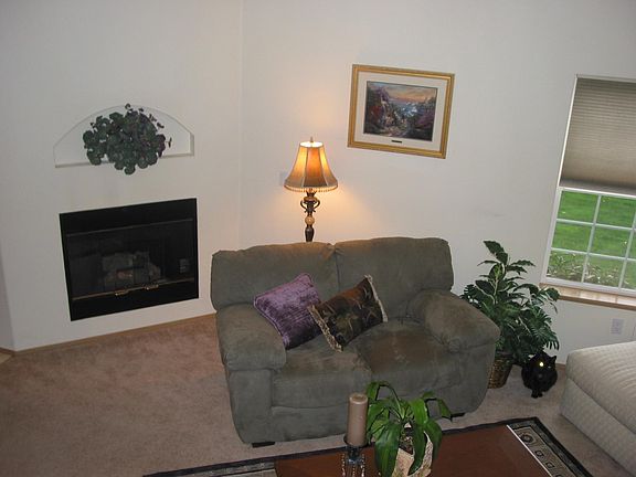 Living Room Fireplace