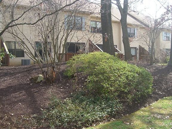Rear Yard