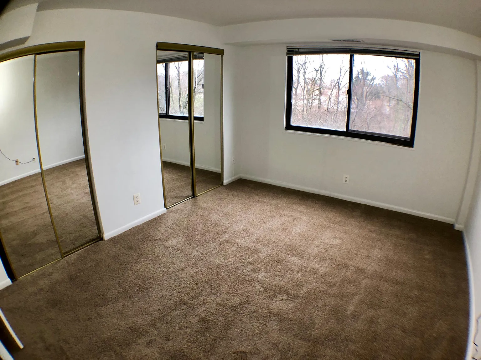 1 bed, 690 sqft, $1,595 — Photo 3