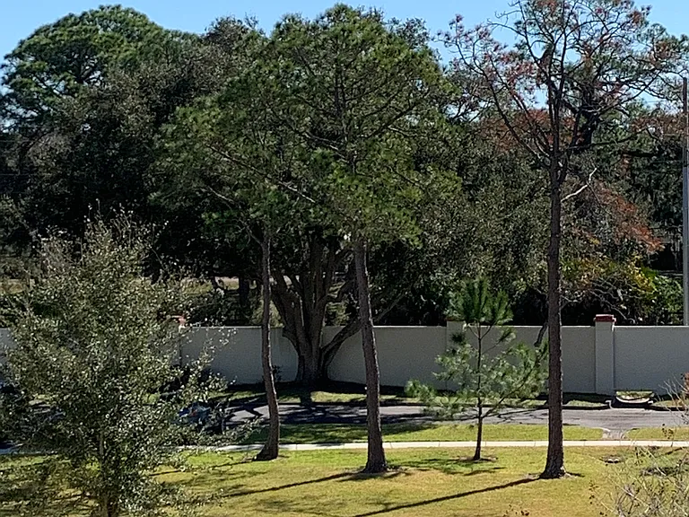 2700 Bayshore Blvd #3 — Photo 36