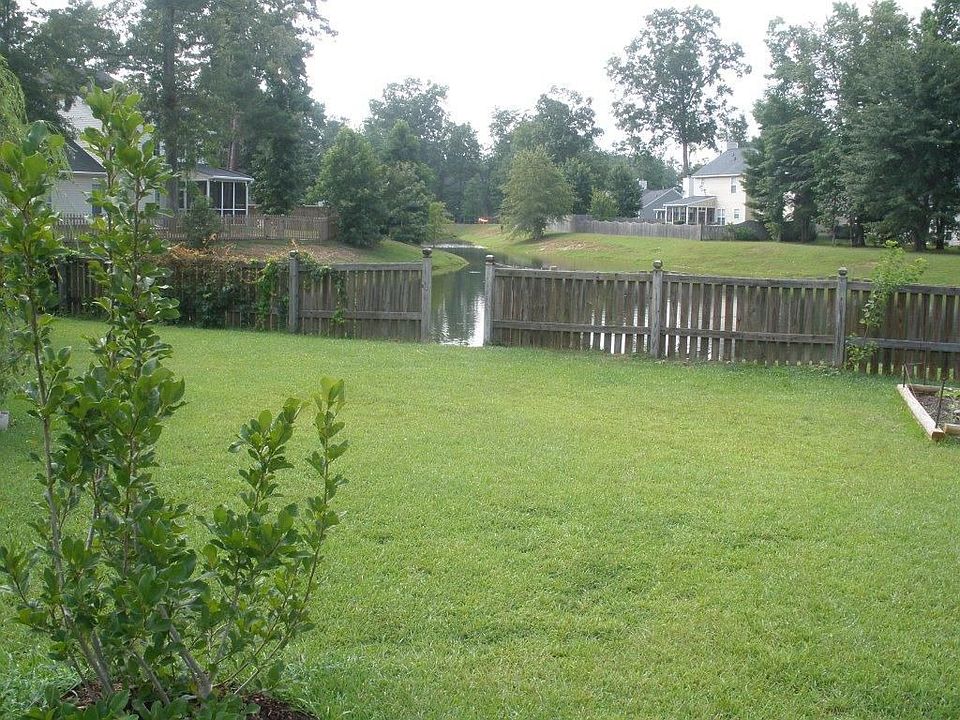 Back yard 2
