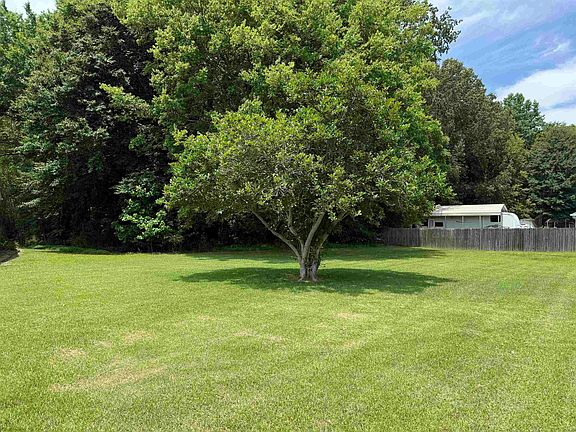 5th image of 185 Mignon Rd