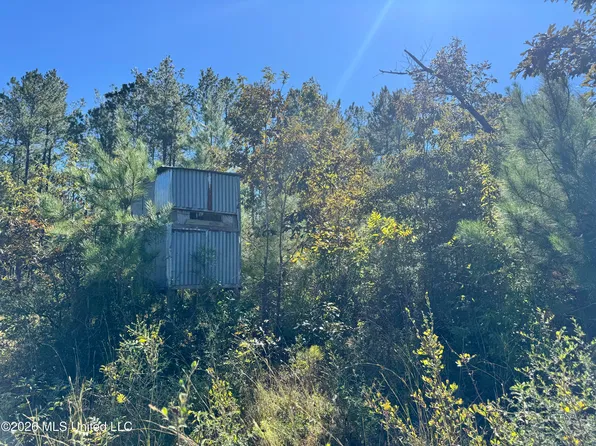 445 Waller Rd, Leakesville, MS 39451