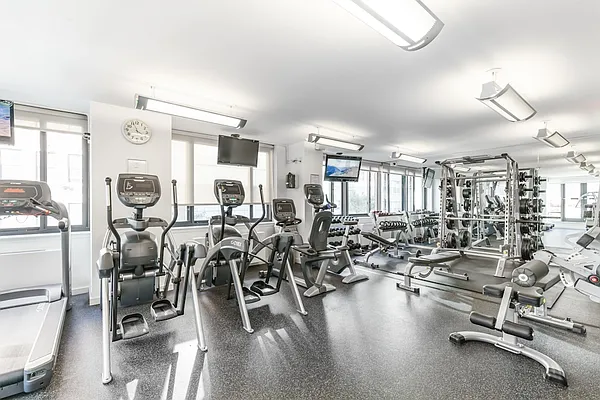 Rented by Gotham Organization | media 21