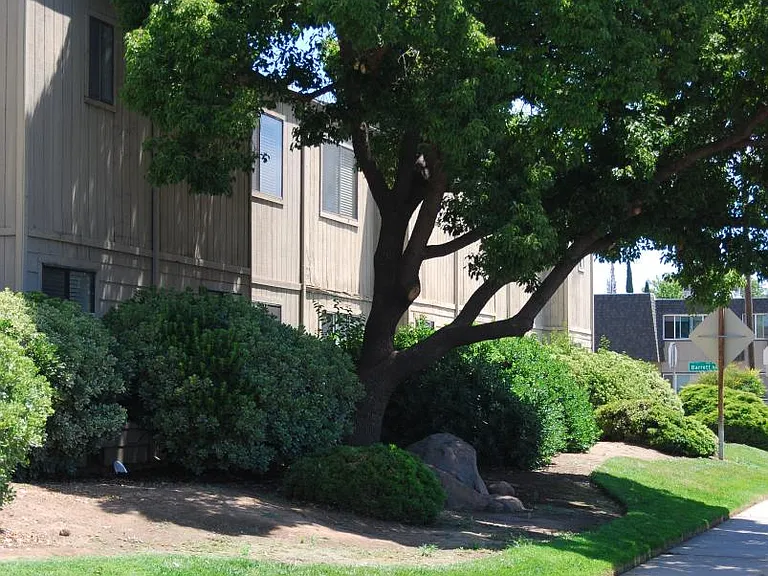 Exterior 1