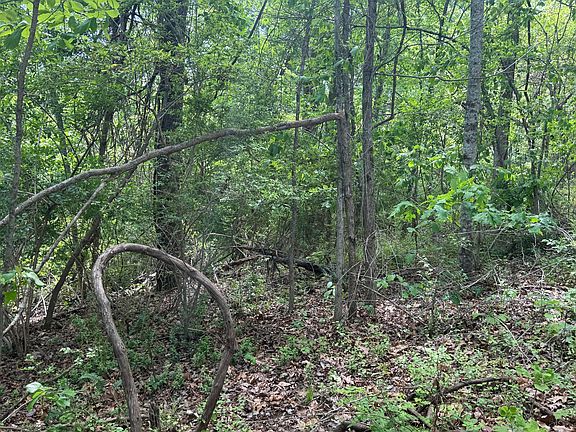3rd image of 9999 Chestnut Flat Rd
