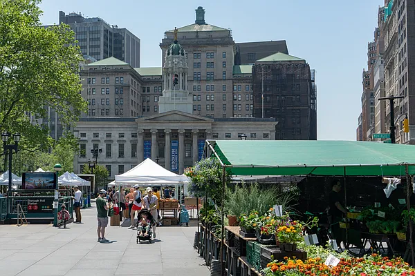 Rented by MNS | media 48