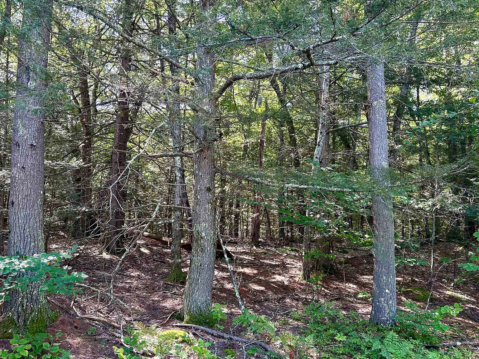 1 Stroud Lane, Barrington, NH 03825 Zillow