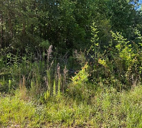 3rd image of 0 Southern Pines Dr
