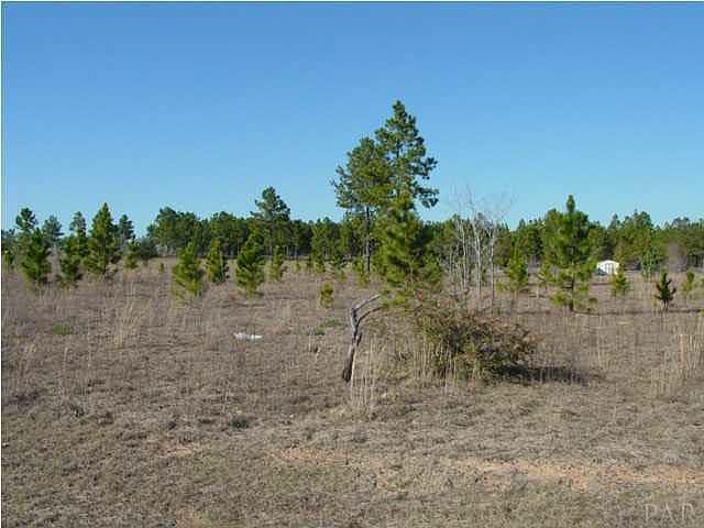 2nd image of 9830 Redland Rd