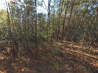SW 29th St LOT 9, Ocala, FL 34481