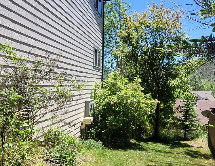 Side yard on the south side of townhome back the the gate behind the lilac bush.