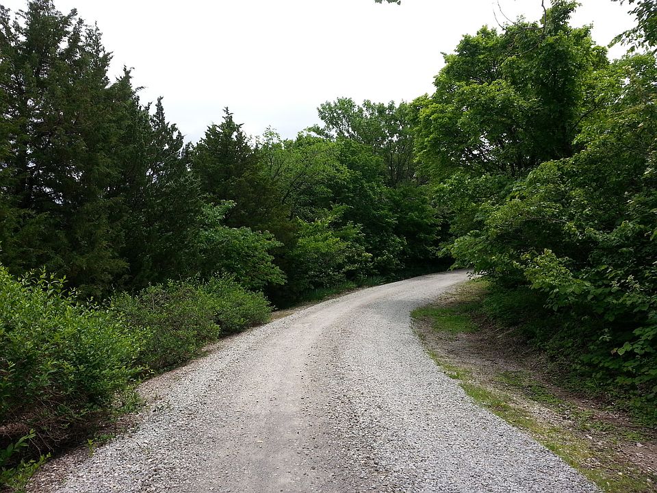 Coming up the driveway 