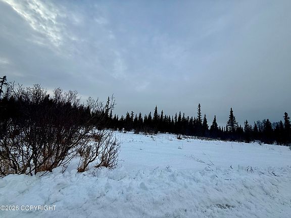 5th image of 25645 Stinkbug St