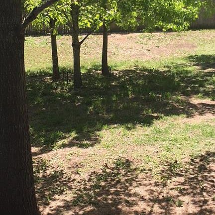 3rd image of 106 Water Oak Ln