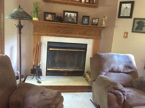 Wood burning fireplace