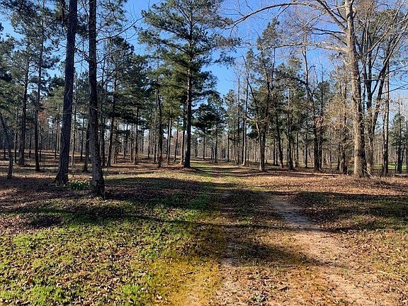2nd image of 385 Shagbark Way