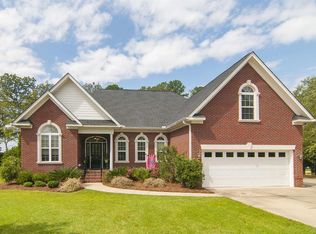 9 Hawks Ridge Ct, Chapin, SC 29036