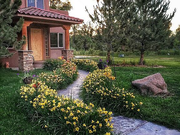 Lily-lined walkway to door